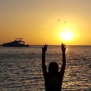 Meet your Posher, Joy